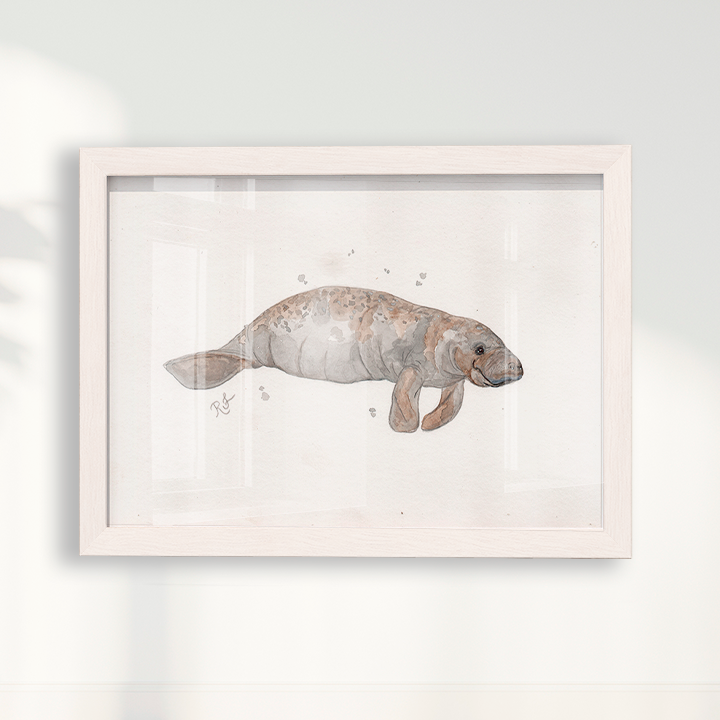 Quadro Peixe boi por Rayana Karoline