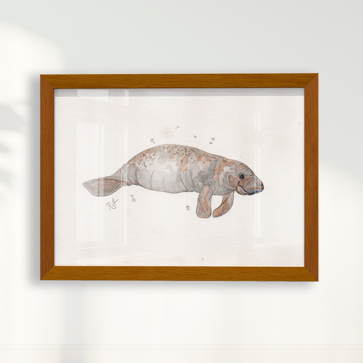 Quadro Peixe boi por Rayana Karoline