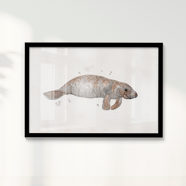 Quadro Peixe boi por Rayana Karoline