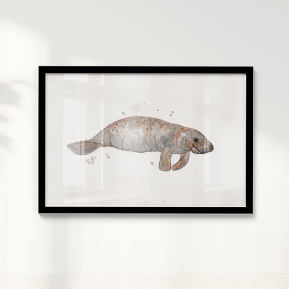 Quadro Peixe boi por Rayana Karoline