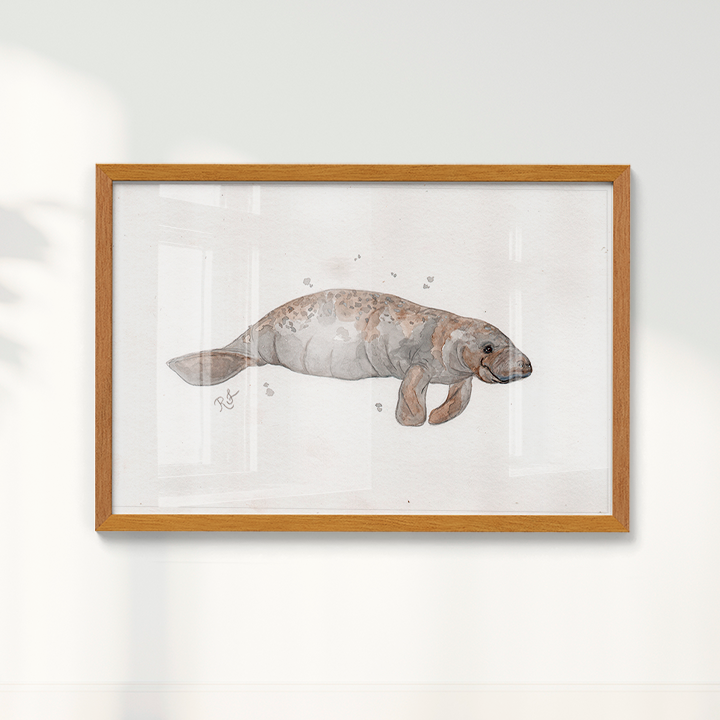 Quadro Peixe boi por Rayana Karoline