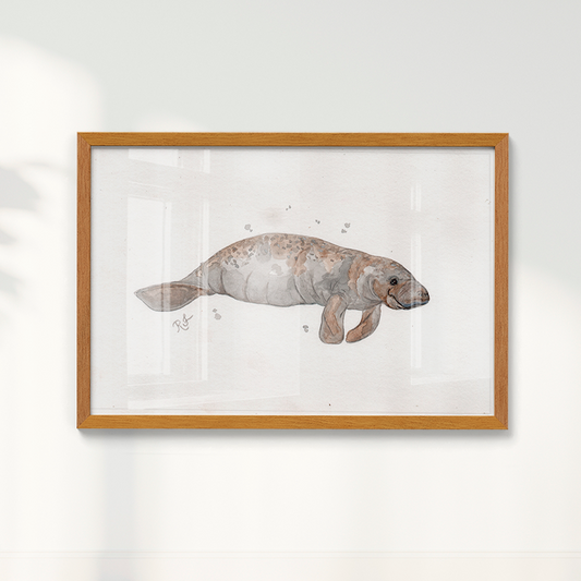 Quadro Peixe boi por Rayana Karoline
