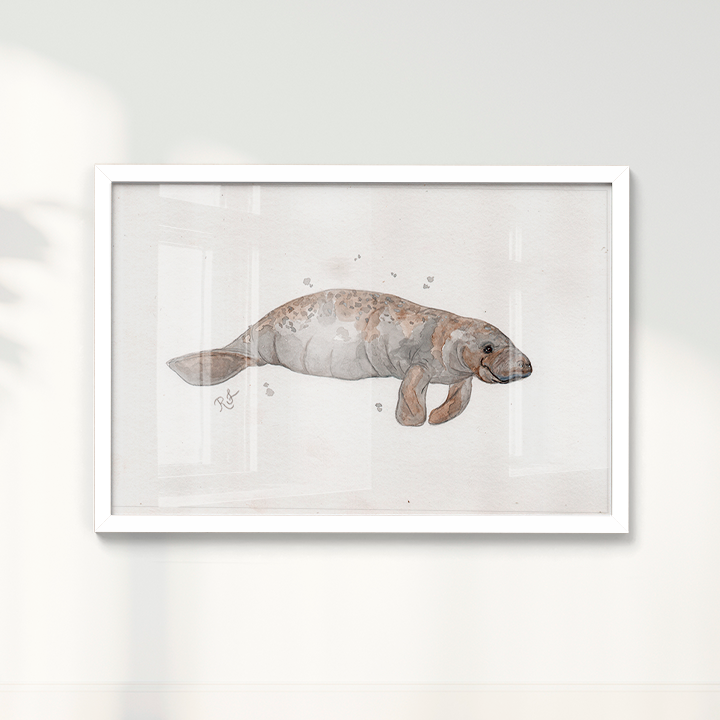 Quadro Peixe boi por Rayana Karoline
