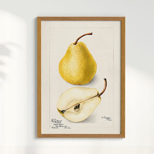 Quadro Pera Vintage