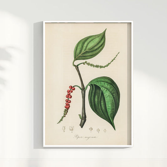 Quadro Pimenta - Black Pepper Vintage