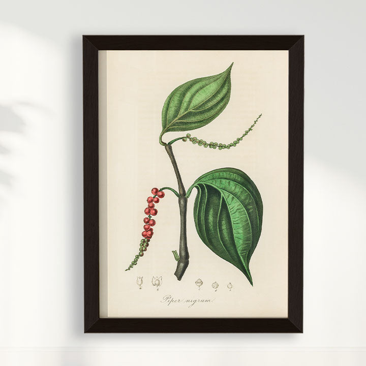 Quadro Pimenta - Black Pepper Vintage