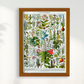 Plantes Medicinales