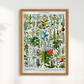 Plantes Medicinales