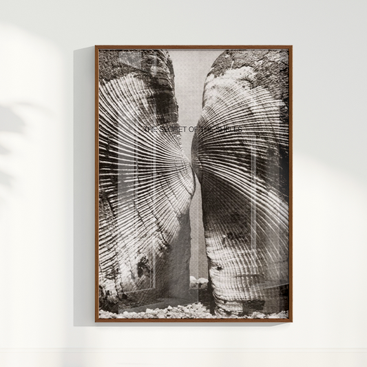 Quadro The Secret of the Shells por Heloisa Camargo