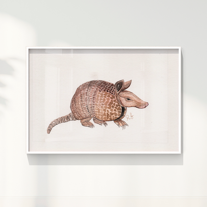 Quadro Tatu por Rayana Karoline