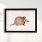 Quadro Tatu por Rayana Karoline