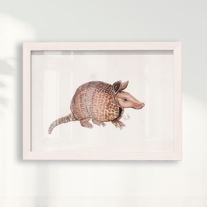 Quadro Tatu por Rayana Karoline