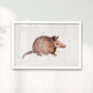 Quadro Tatu por Rayana Karoline