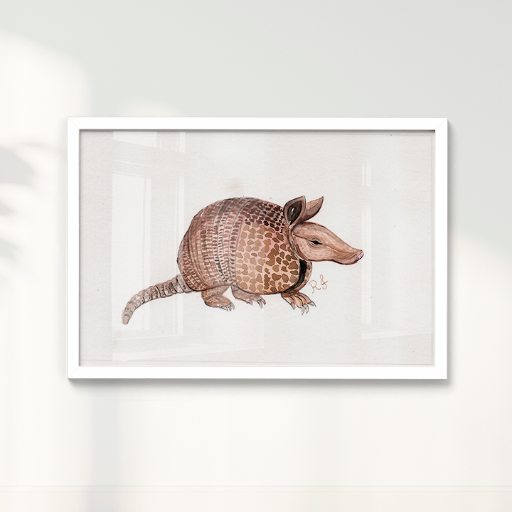 Quadro Tatu por Rayana Karoline