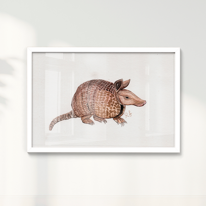 Quadro Tatu por Rayana Karoline