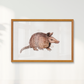 Quadro Tatu por Rayana Karoline