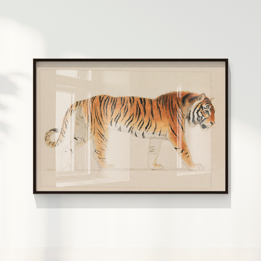 Tigre
