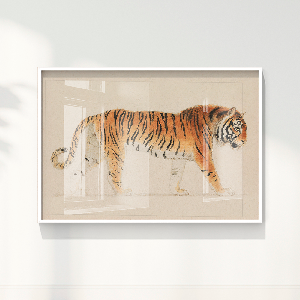 Tigre