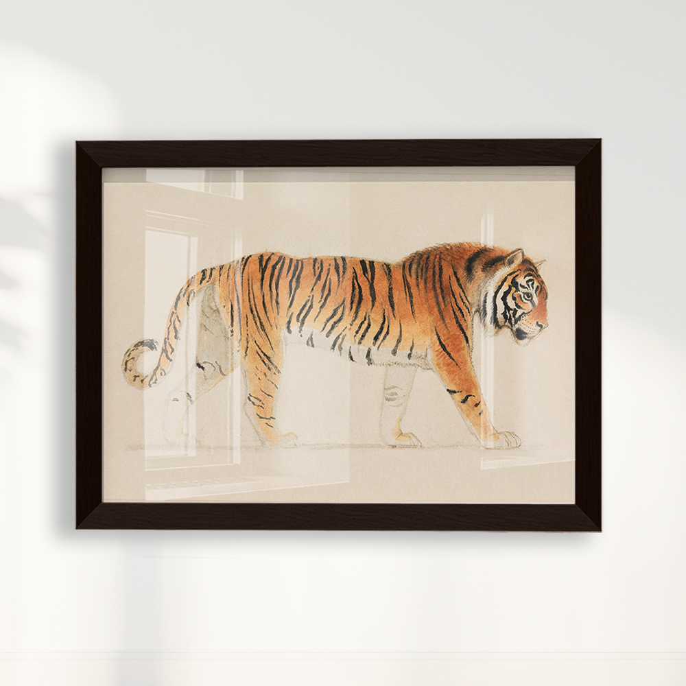 Tigre