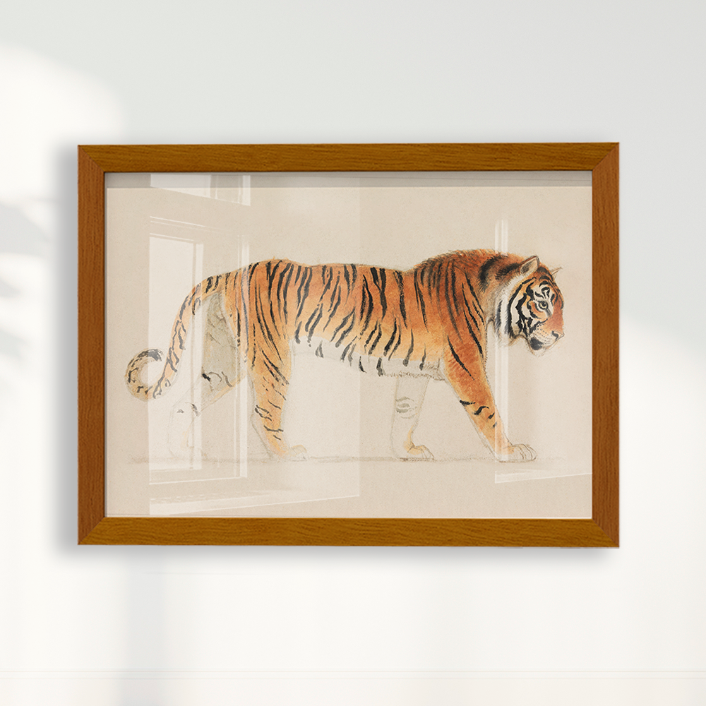 Tigre