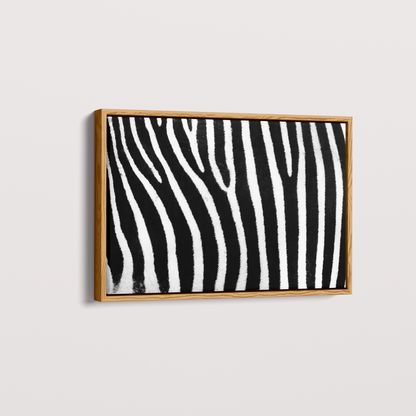 Quadro Zebra