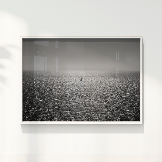 Quadro Veleiro por Angus Waddacor-McConill
