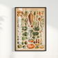 Vegetables