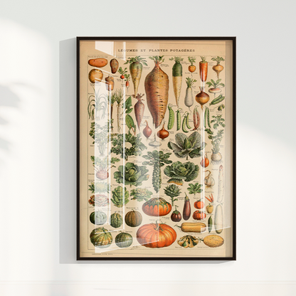 Quadro Vegetables