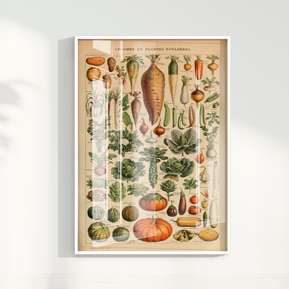 Quadro Vegetables