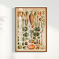 Vegetables