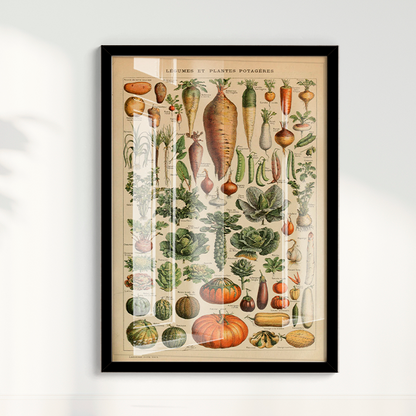 Quadro Vegetables