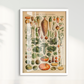 Vegetables