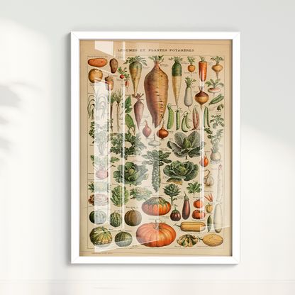 Quadro Vegetables