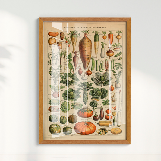 Quadro Vegetables