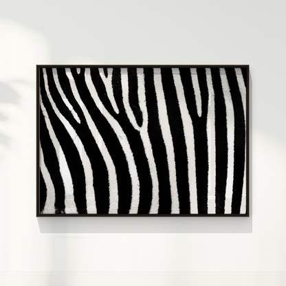 Quadro Zebra