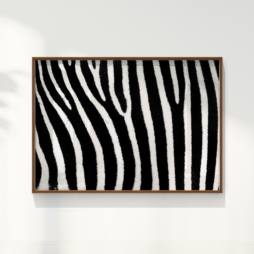 Quadro Zebra