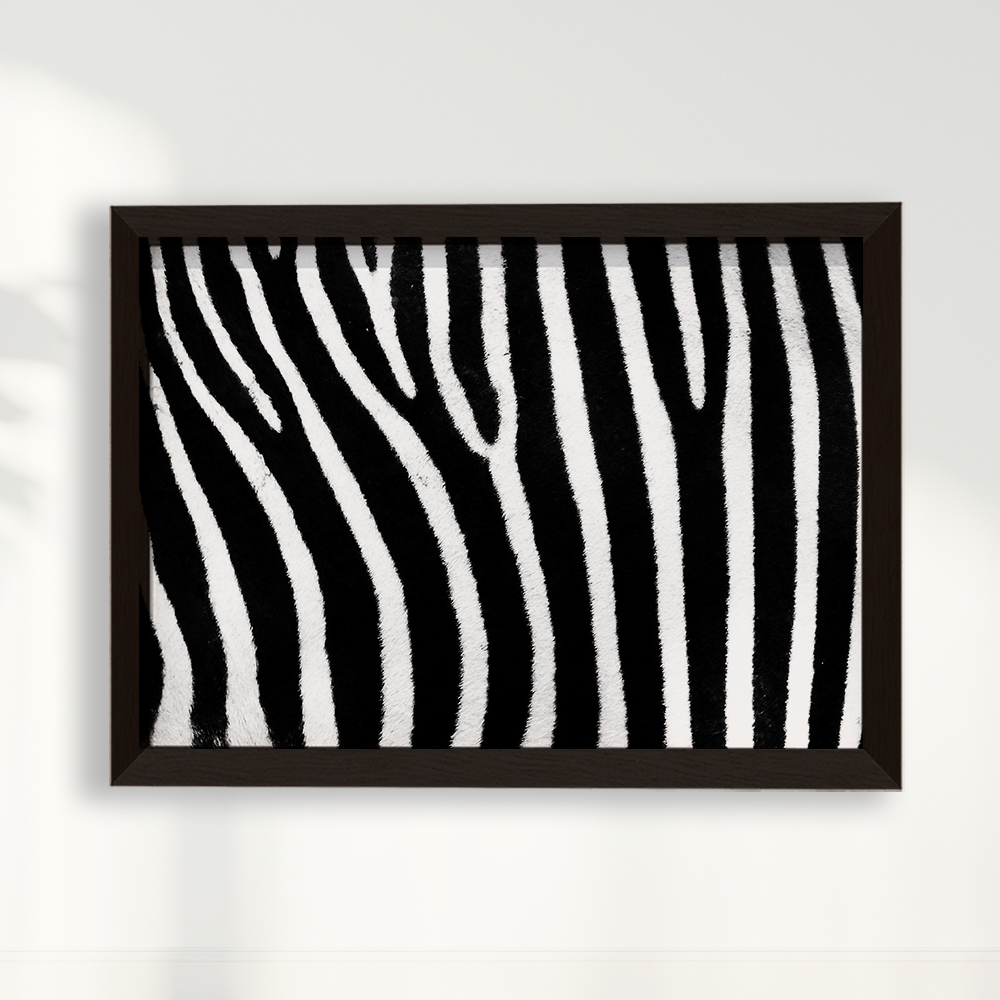 Quadro Zebra