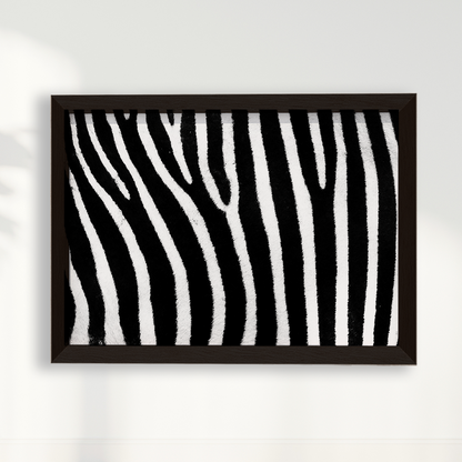 Quadro Zebra