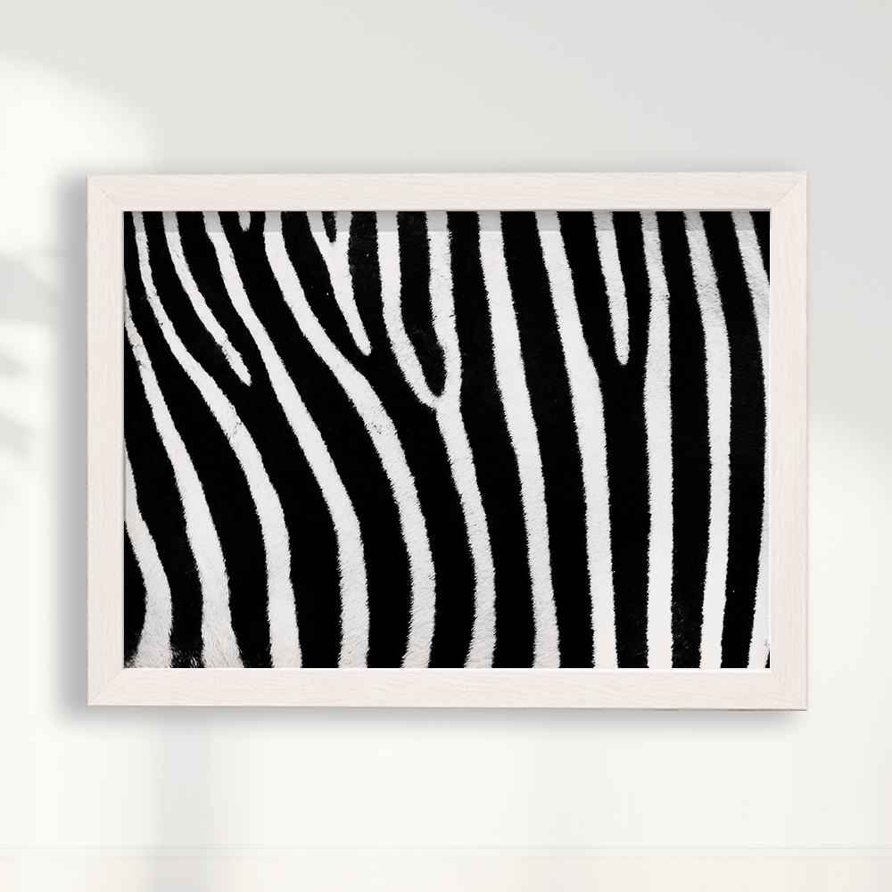 Quadro Zebra