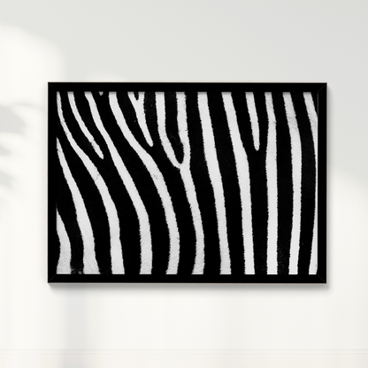 Quadro Zebra