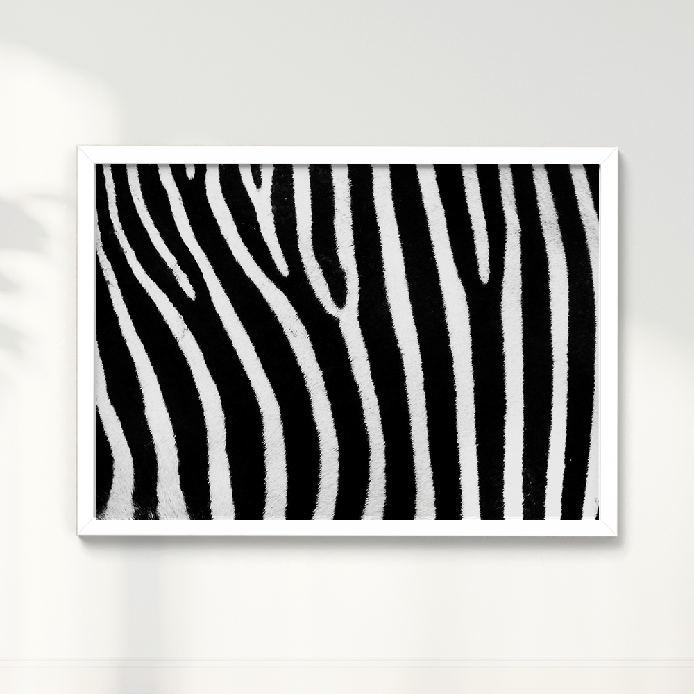 Quadro Zebra