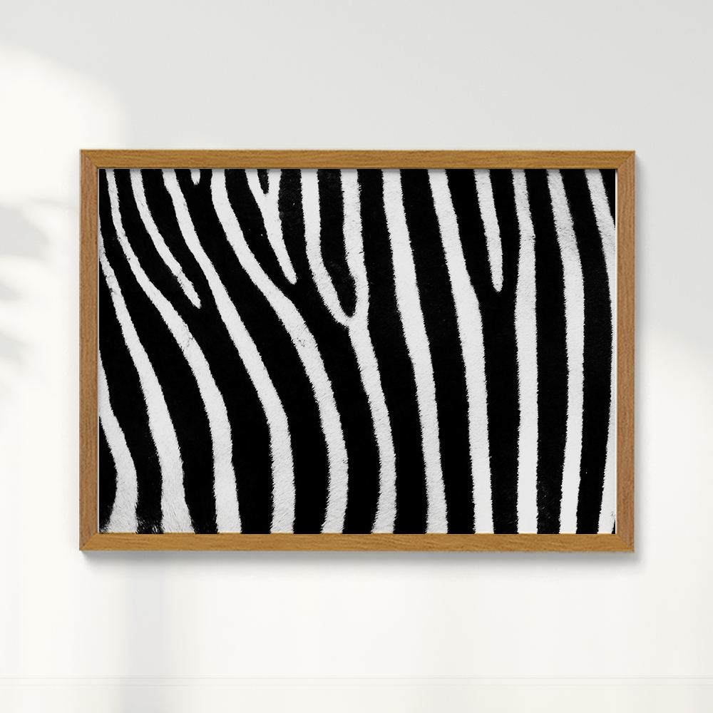 Quadro Zebra
