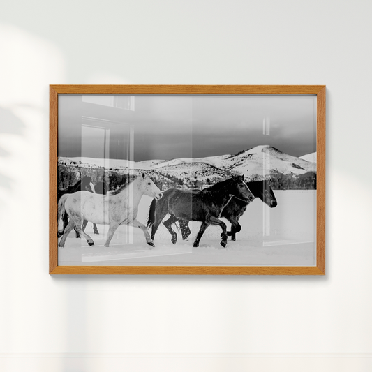 Quadro Wild horses