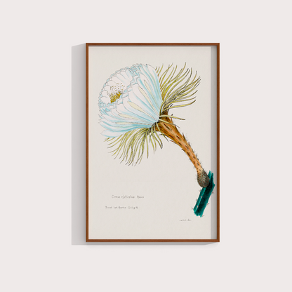 Flower Cactus
