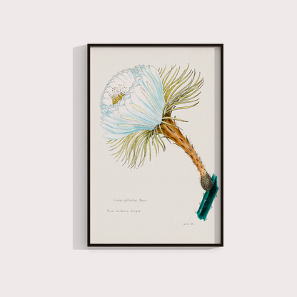 Flower Cactus