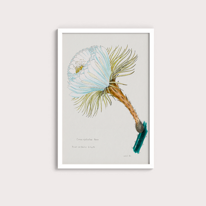 Flower Cactus