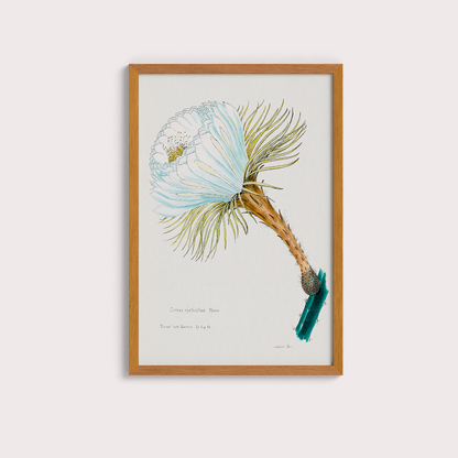 Flower Cactus