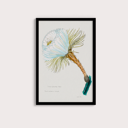 Flower Cactus
