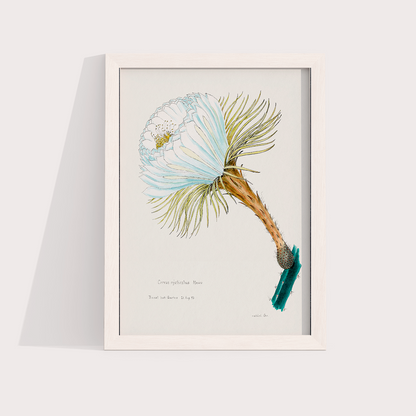 Flower Cactus