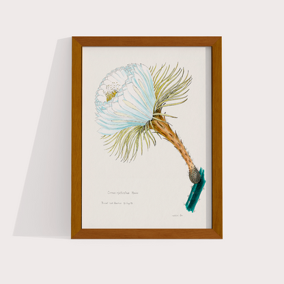 Flower Cactus
